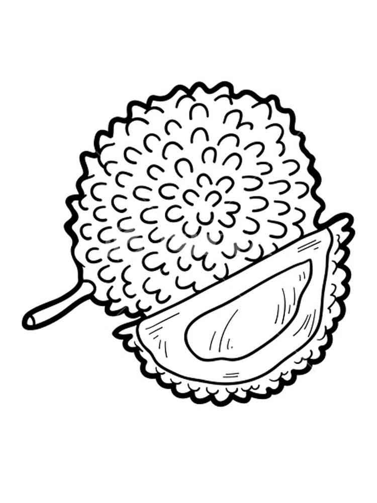 Durian Fruits Coloring Page