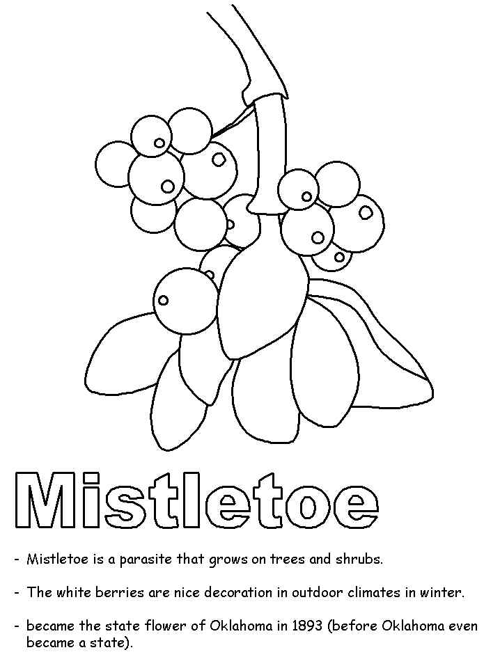 Mistletoe With Fruit Coloring Page