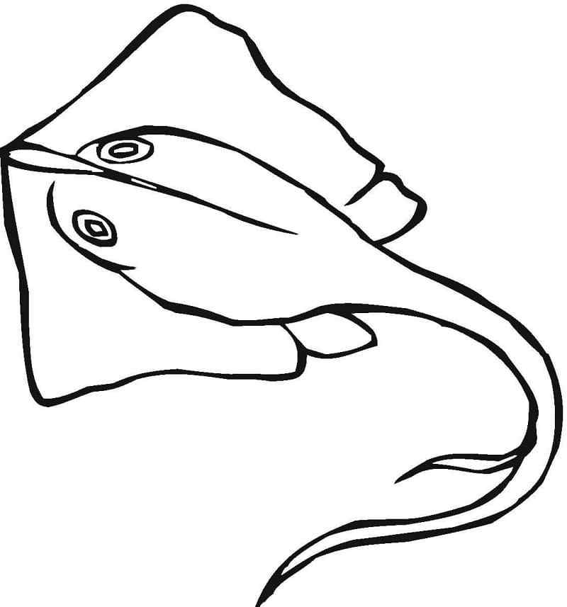 Normal Stingray Coloring Page
