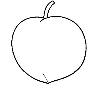 Peach-drawing-2