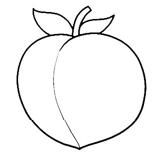 Peach-drawing-4