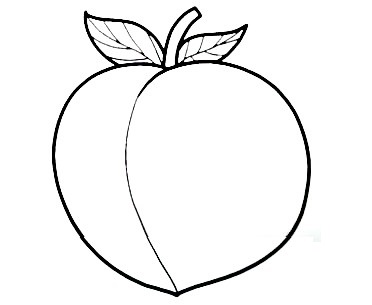 Peach-drawing-5