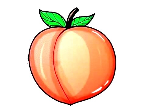 Peach-drawing-6