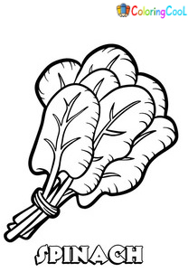 Spinach Coloring Pages