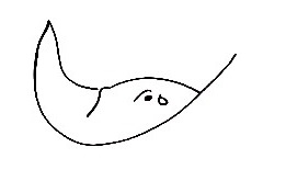 Stingray-Drawing-5