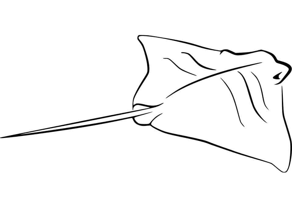Stingray Swimming Coloring Page