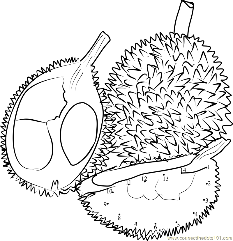 Adults Tropical Exotic Fruit Durian Coloring Page
