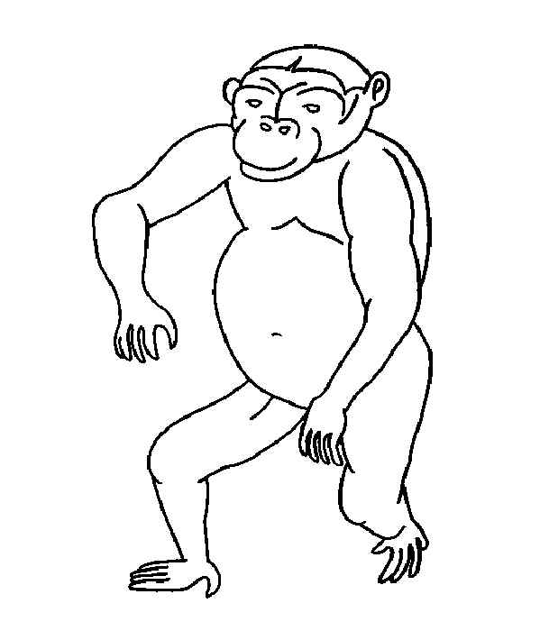 Amazing Monkeys Coloring Page