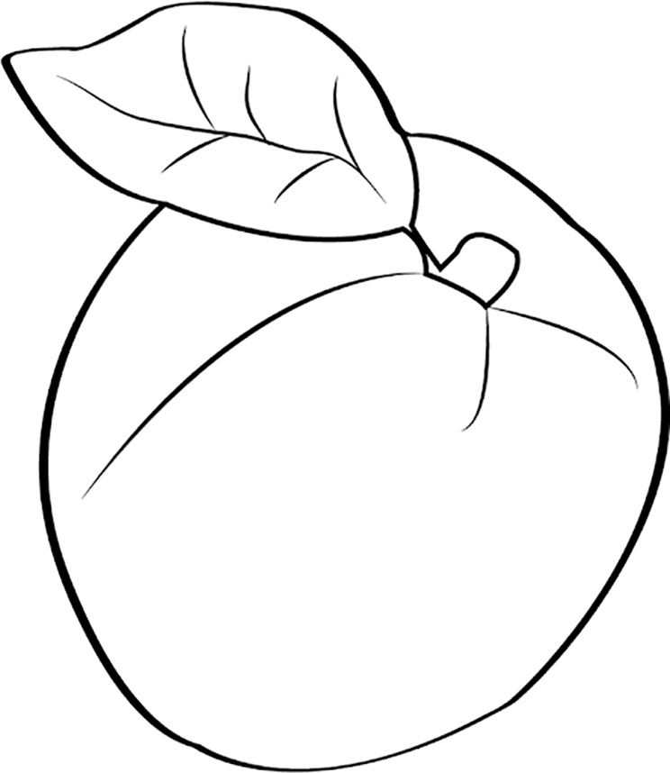 Apricot Coloring Pages