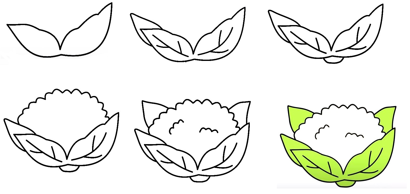 How To Draw Cauliflower