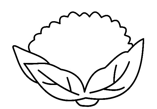 how to draw Cauliflower
