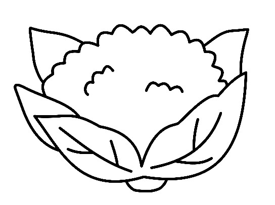 how to draw Cauliflower