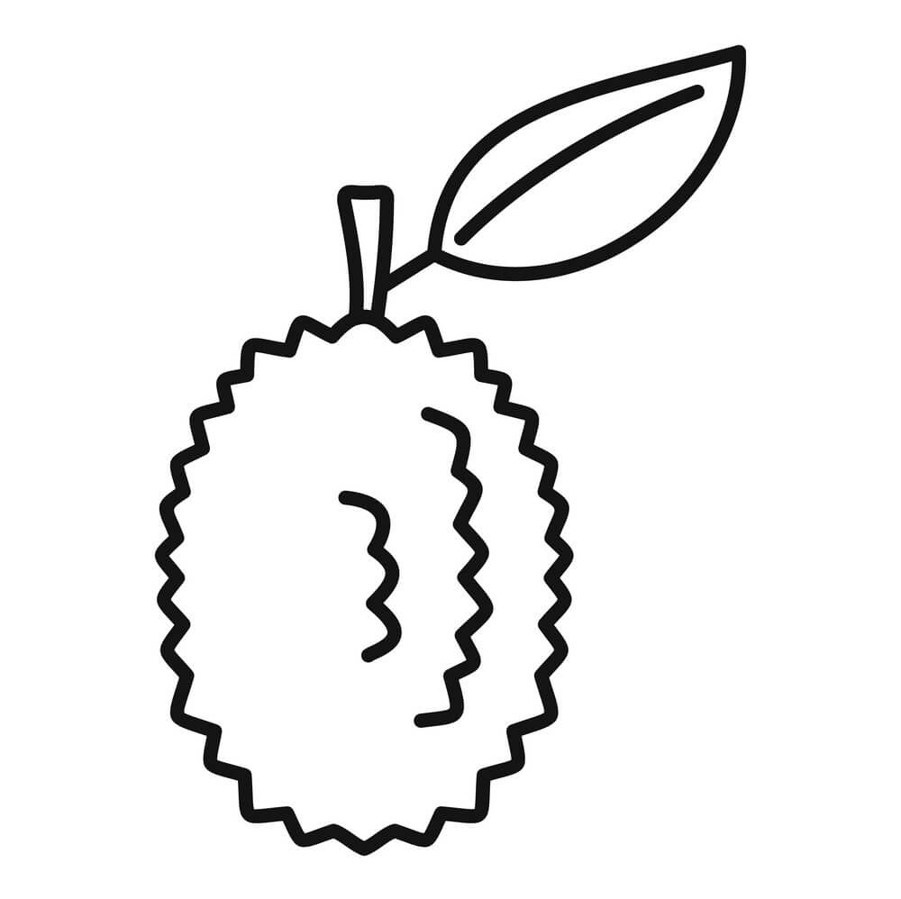 Durian Cizimi Coloring Page