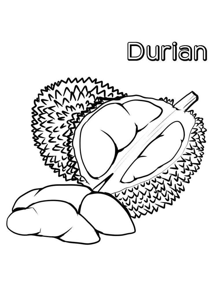Durian Fruit For Kids Coloring Page