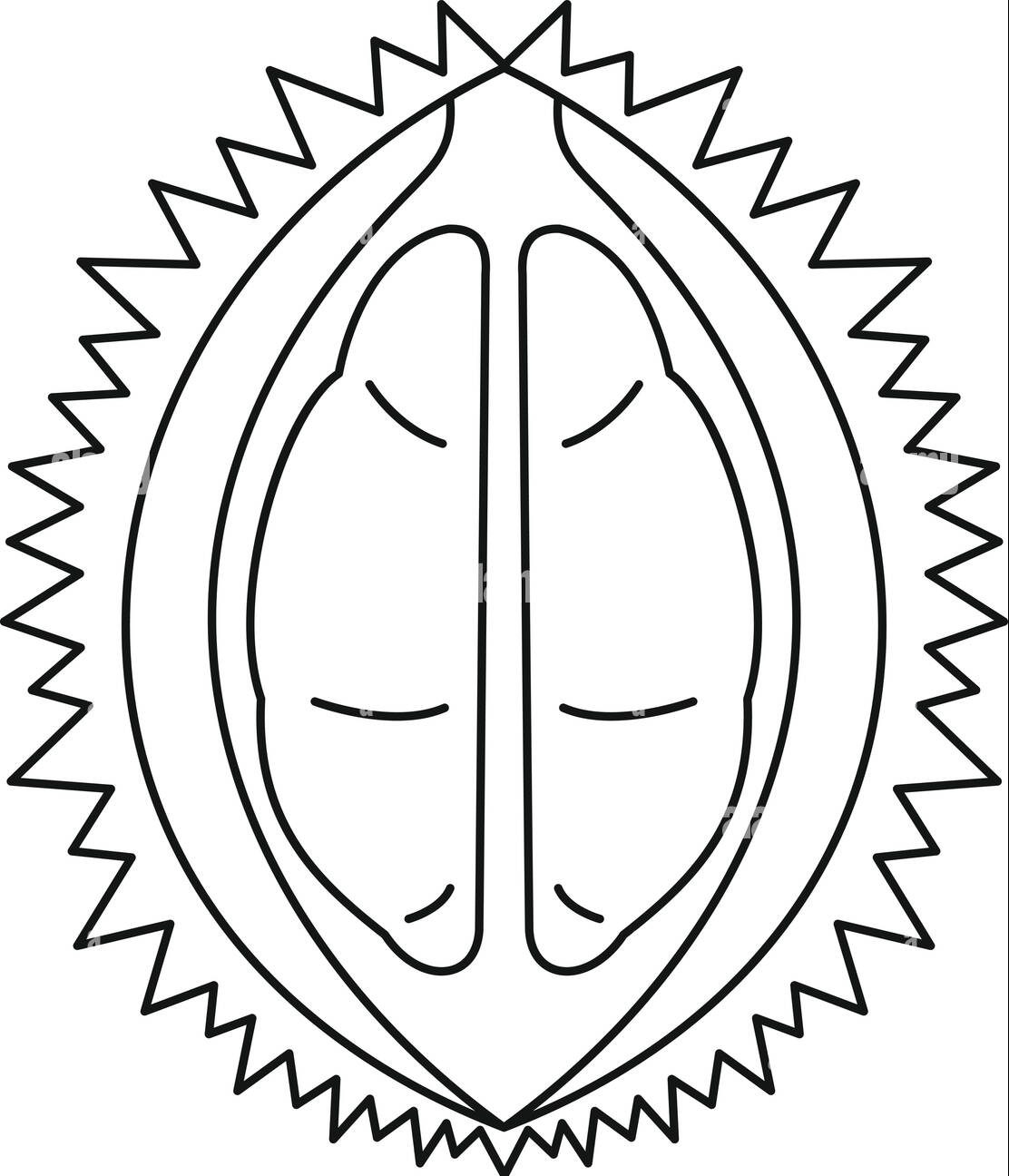 Durian Fruit Icon Outline Style Coloring Page