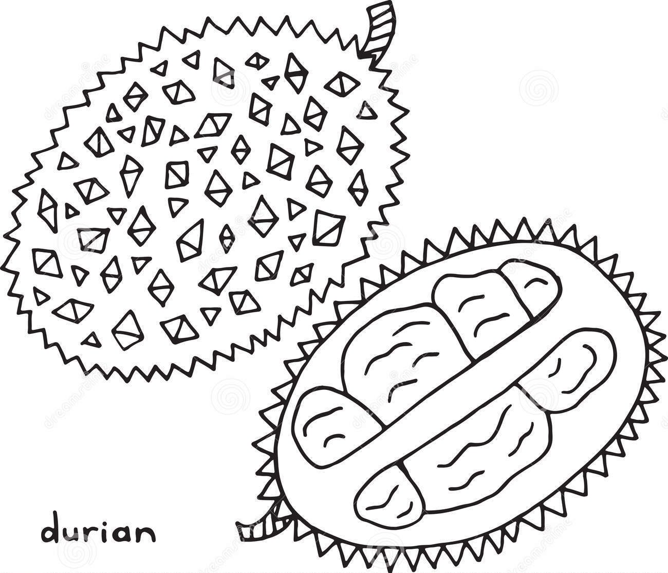 Durian Graphic Coloring Page
