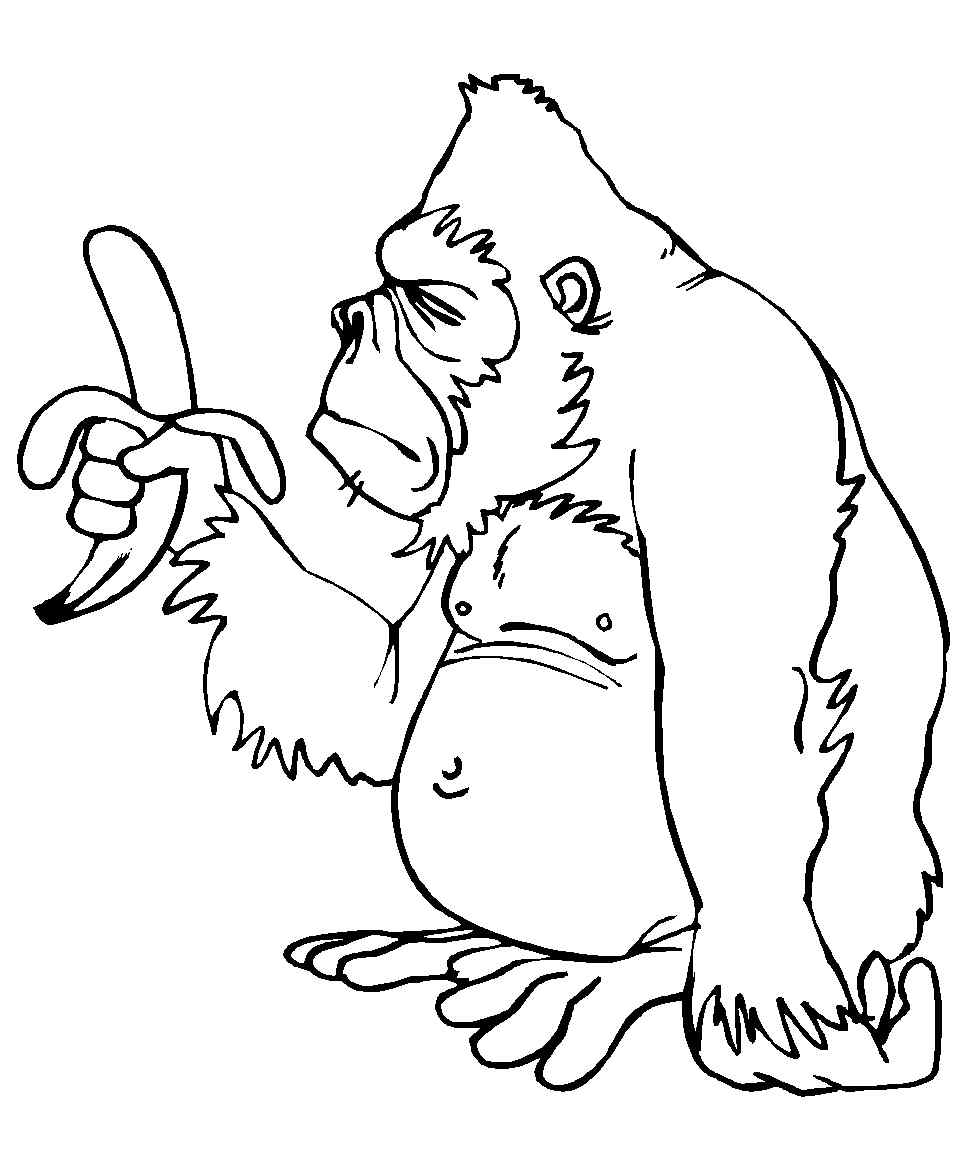 Gorilla Eats Banane Coloring Page