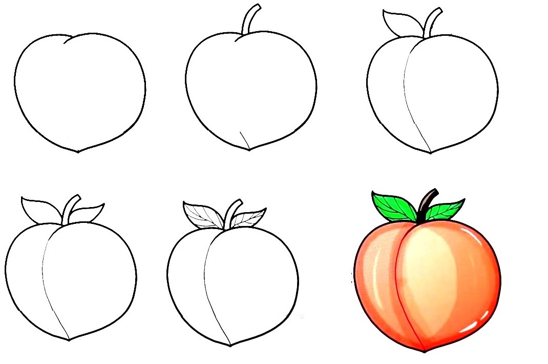 how to draw peach