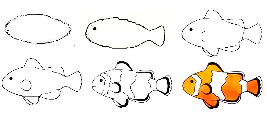 A Fish Drawing