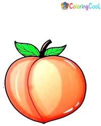 6 Easy Steps Creating A Peach Drawing – How To Draw A Peach Coloring Page