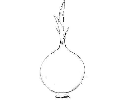How To Draw Onion