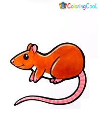 Rat Drawing Is Created In 8 Easy Steps Coloring Page