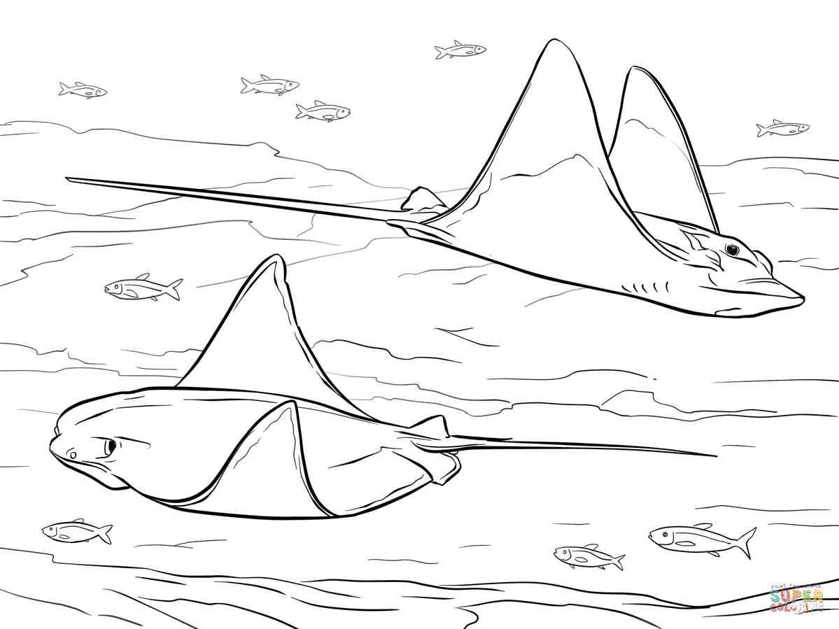 Ray Swiming Coloring Page