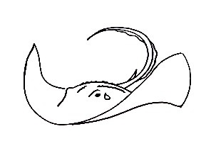How To Draw Stingray