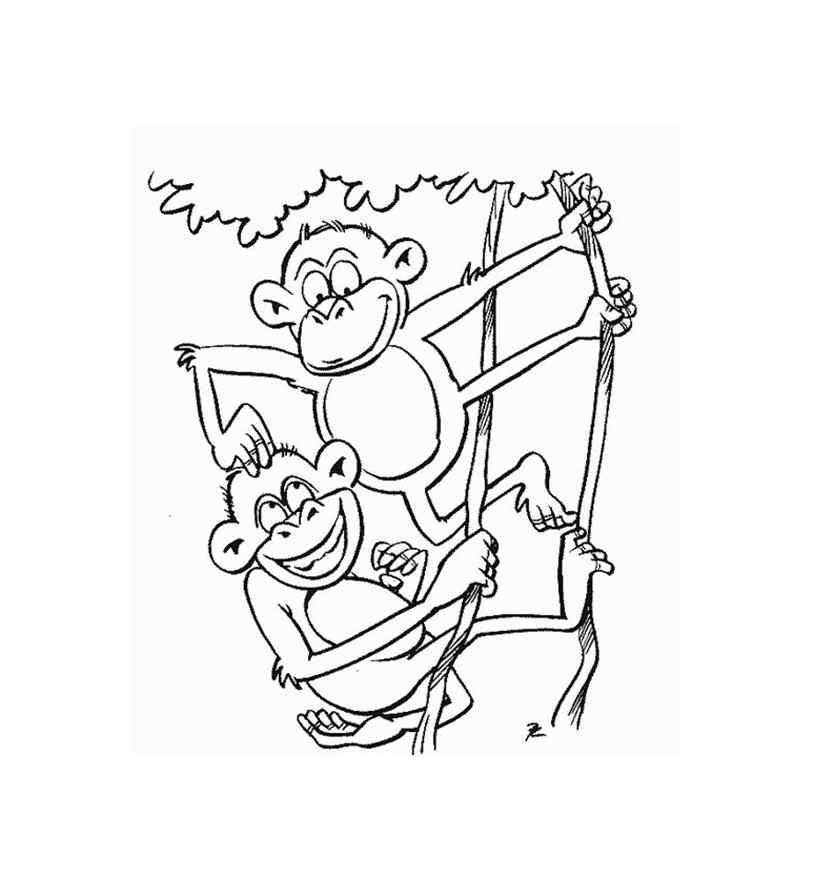 Two Monkeys Coloring Page