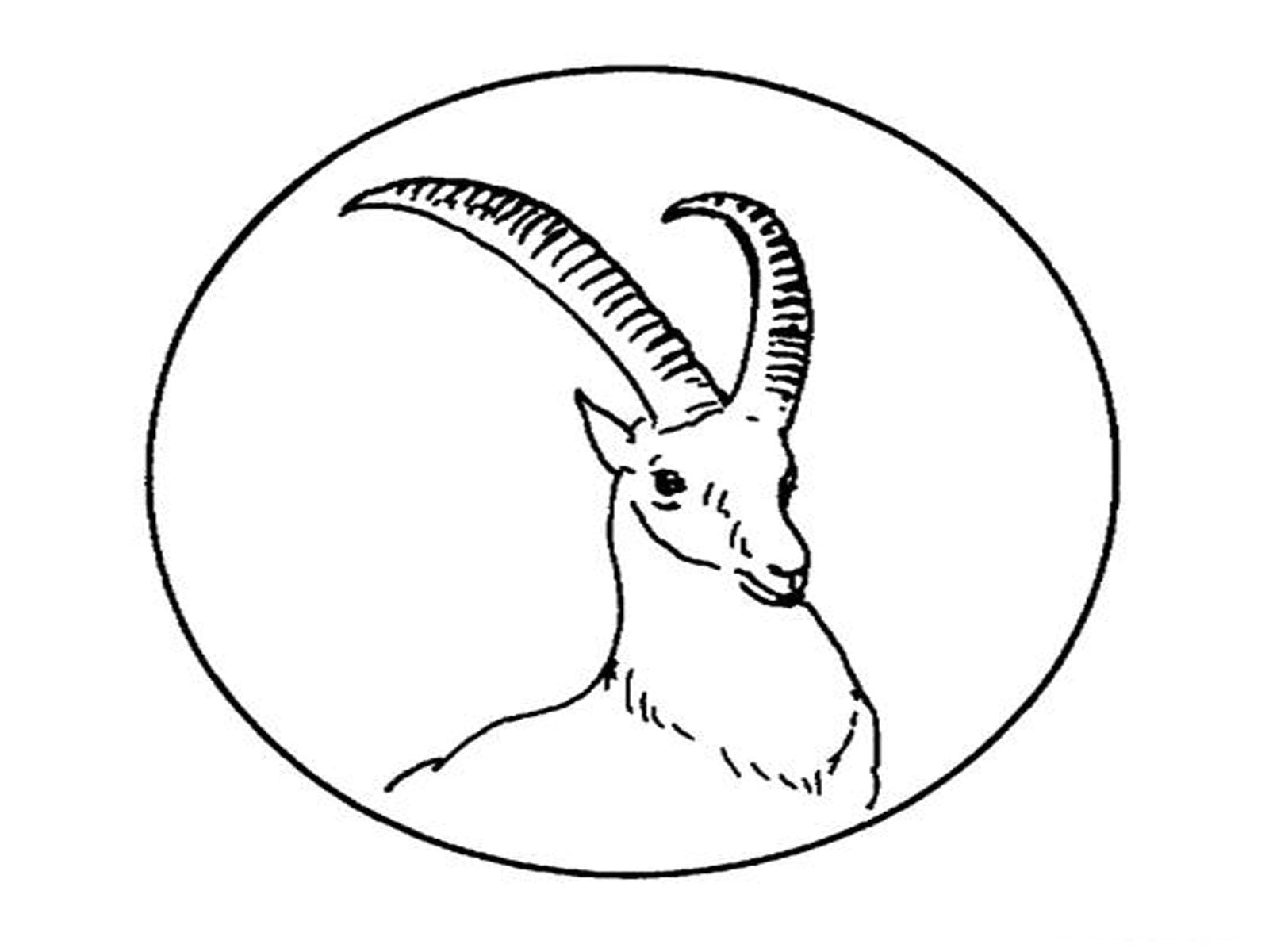 Animal Head Coloring Pages Coloring Page