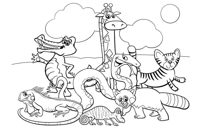 Animals Set Cartoon Coloring For Kids Coloring Page