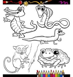 Animals Set Cartoon Coloring