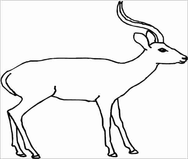 Antelope Coloring Sheet