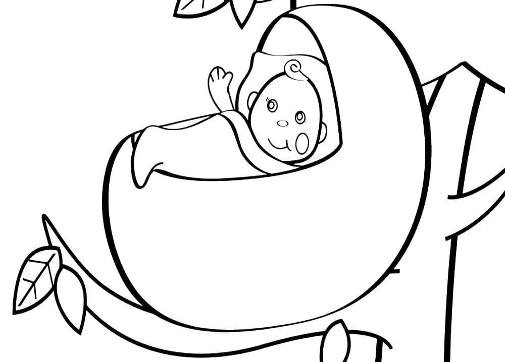 Baby on a Branch Coloring Page