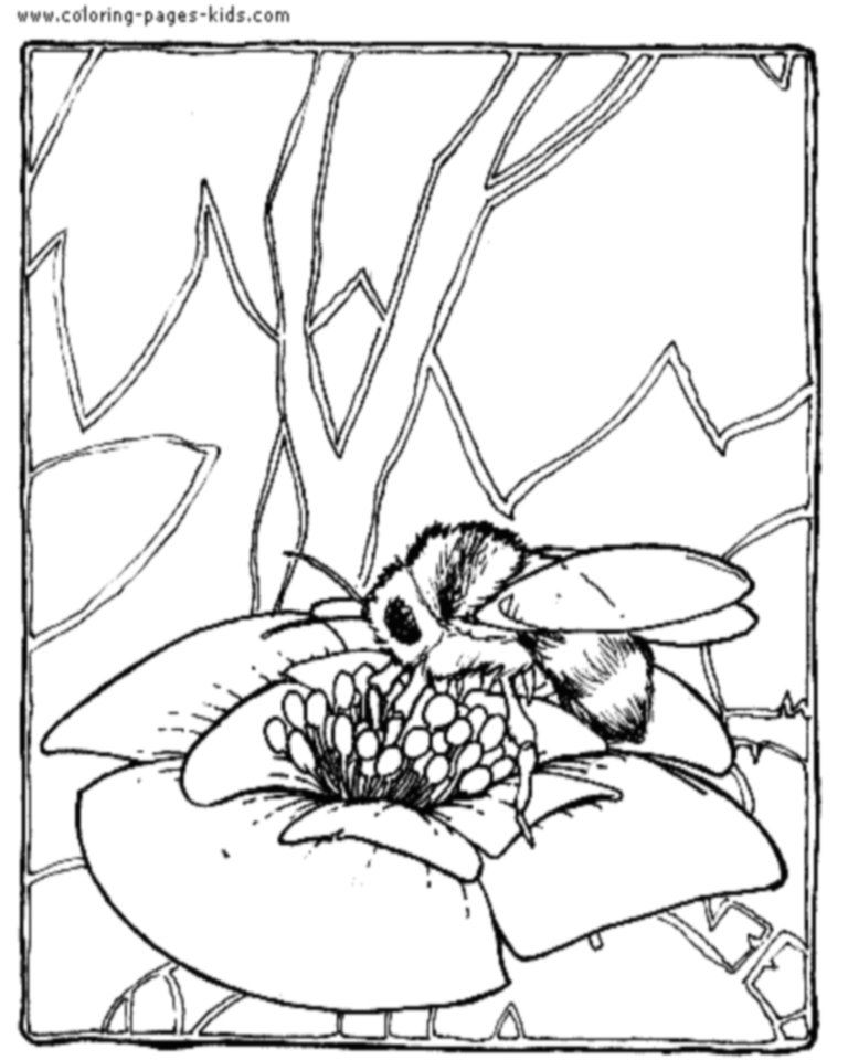 Nice Bee Coloring Page