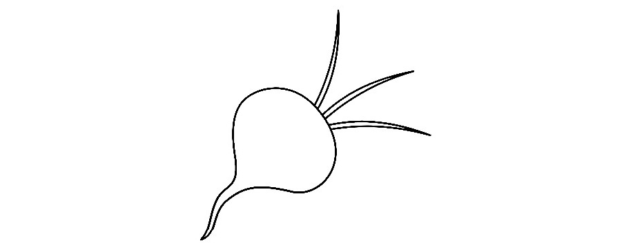 Beetroot-Drawing-3