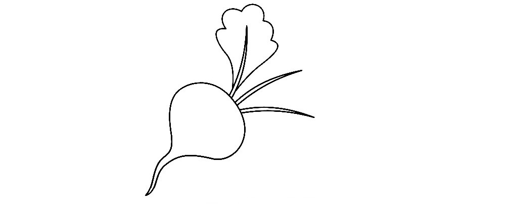 Beetroot-Drawing-4