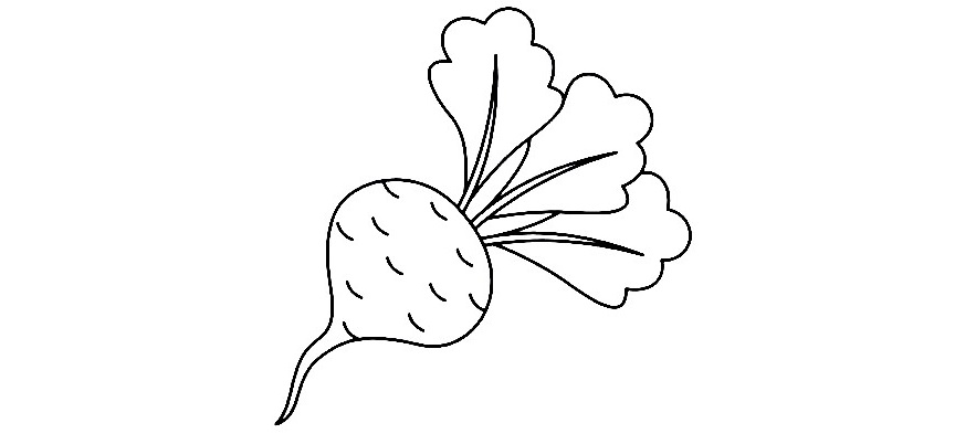 Beetroot-Drawing-7