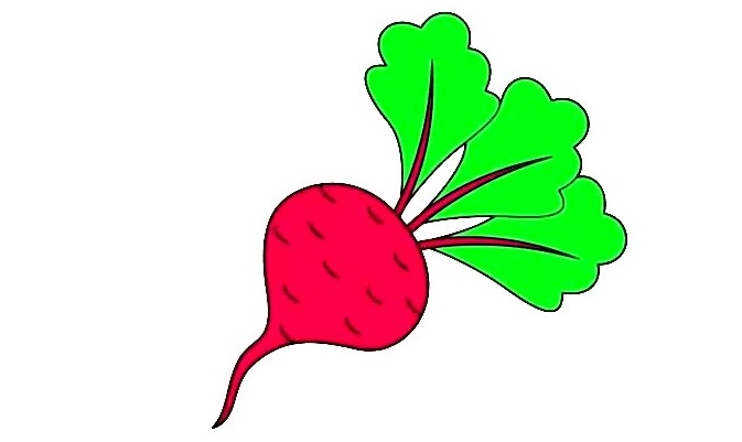 Beetroot-Drawing-8