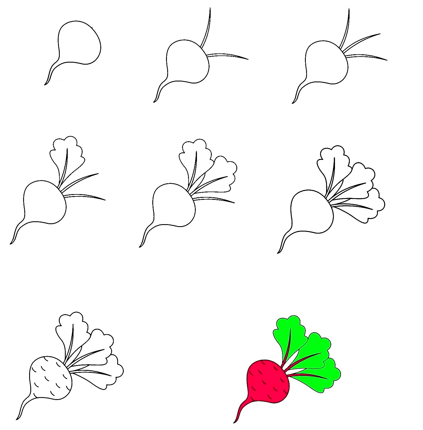 Beetroot-Drawing