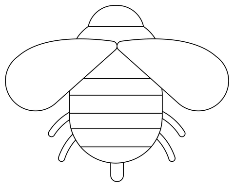 Bumblebee Image