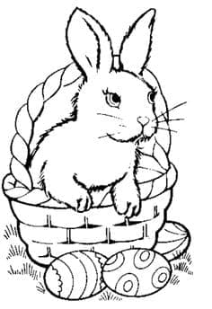 Bunny coloring pages Coloring Page