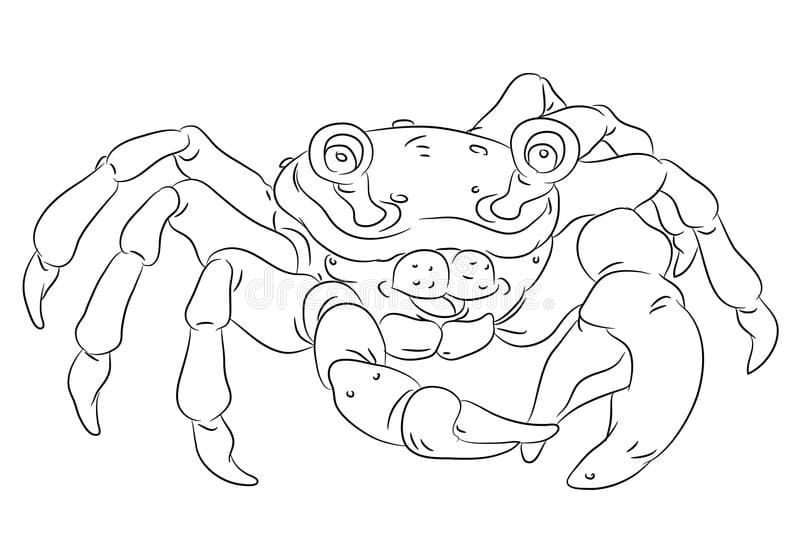 Crab Coloring free Coloring Page
