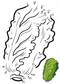 Chinese cabbage drawing dot-to-dots for kids Coloring Page
