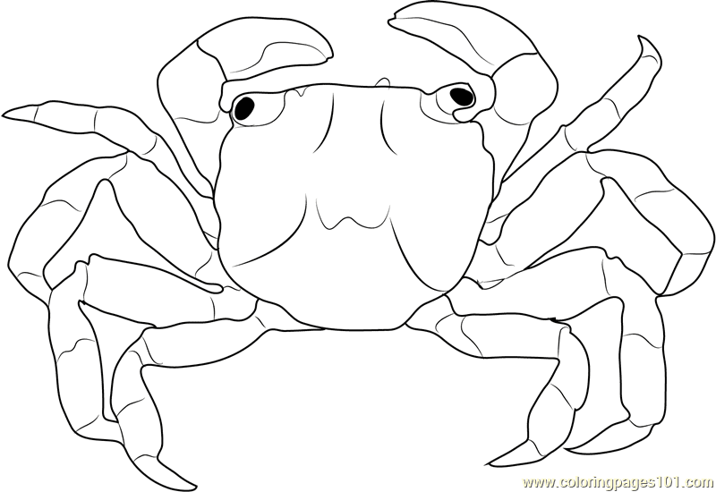 Christmas Island Crab Coloring Page