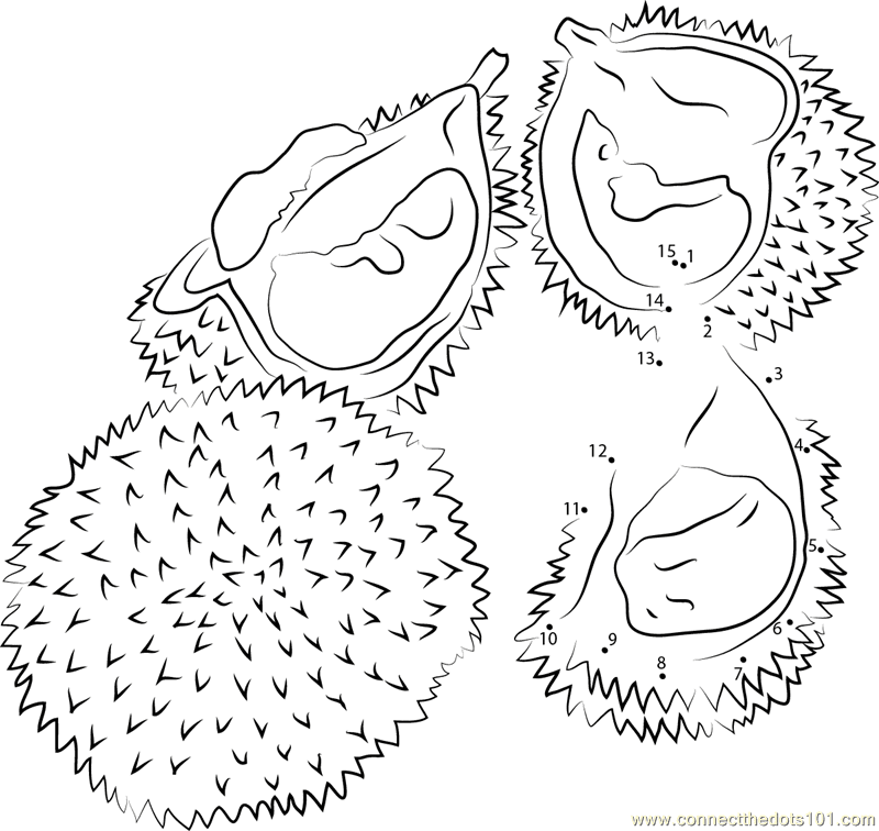 Coloring Book Durian Black And White