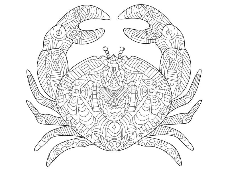 Crab For Kids Coloring Page