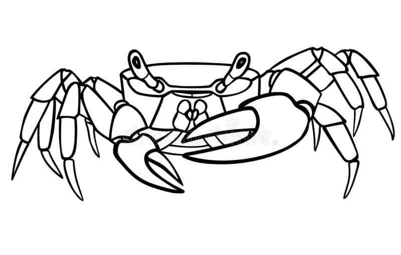 Crab Picture Coloring Page