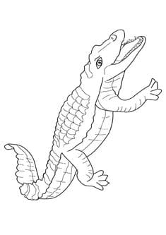 Crocodile Cartoon Coloring To Print Coloring Page