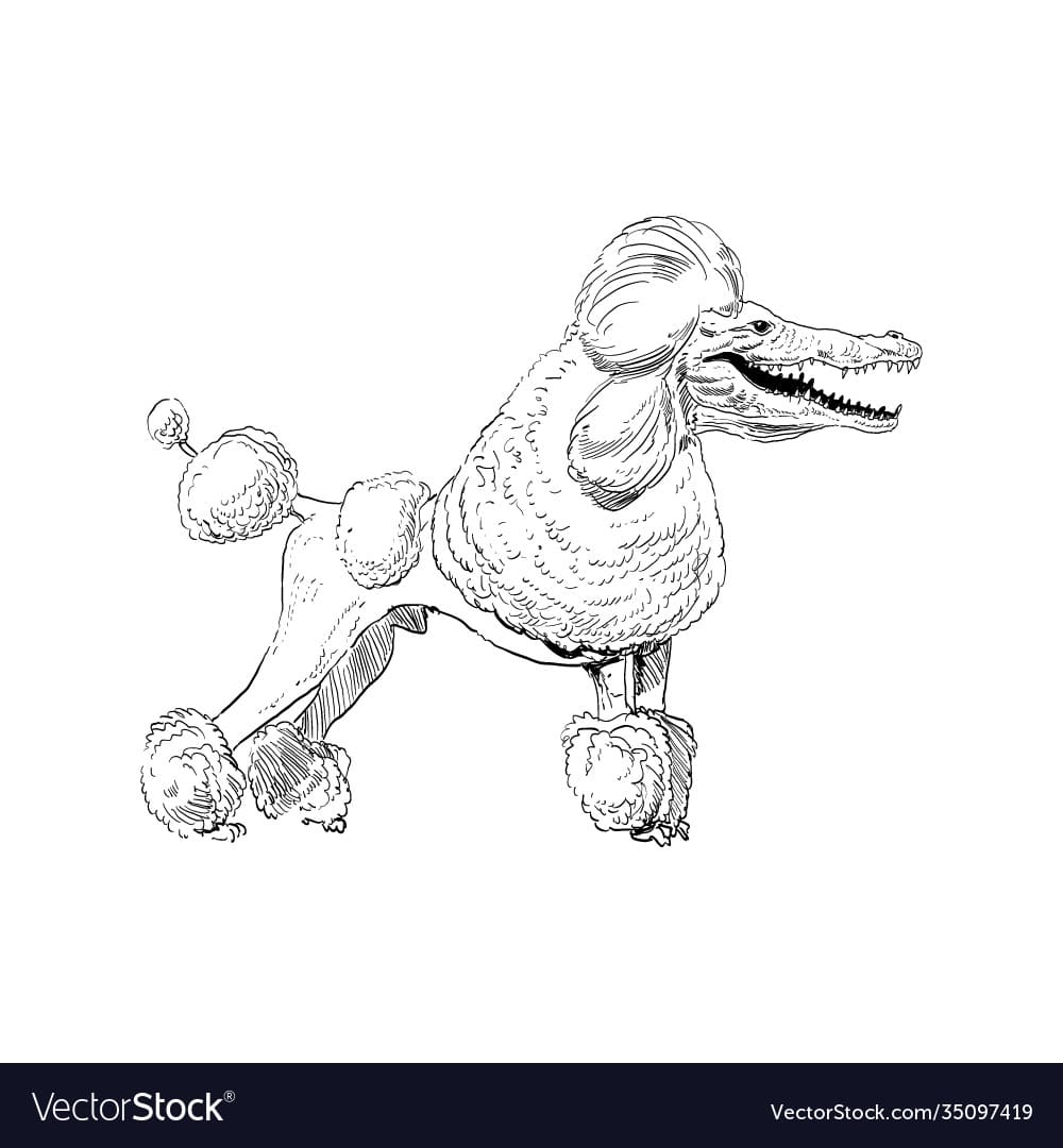Crocodile Cartoon Printable Coloring Page